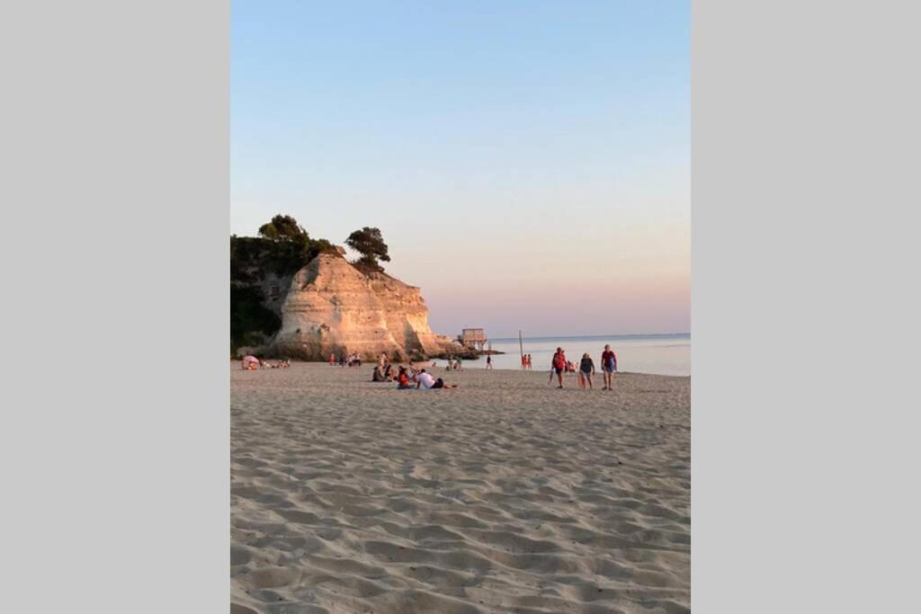 Maison Au Coeur De Meschers - Proche Des Plages Ngoại thất bức ảnh